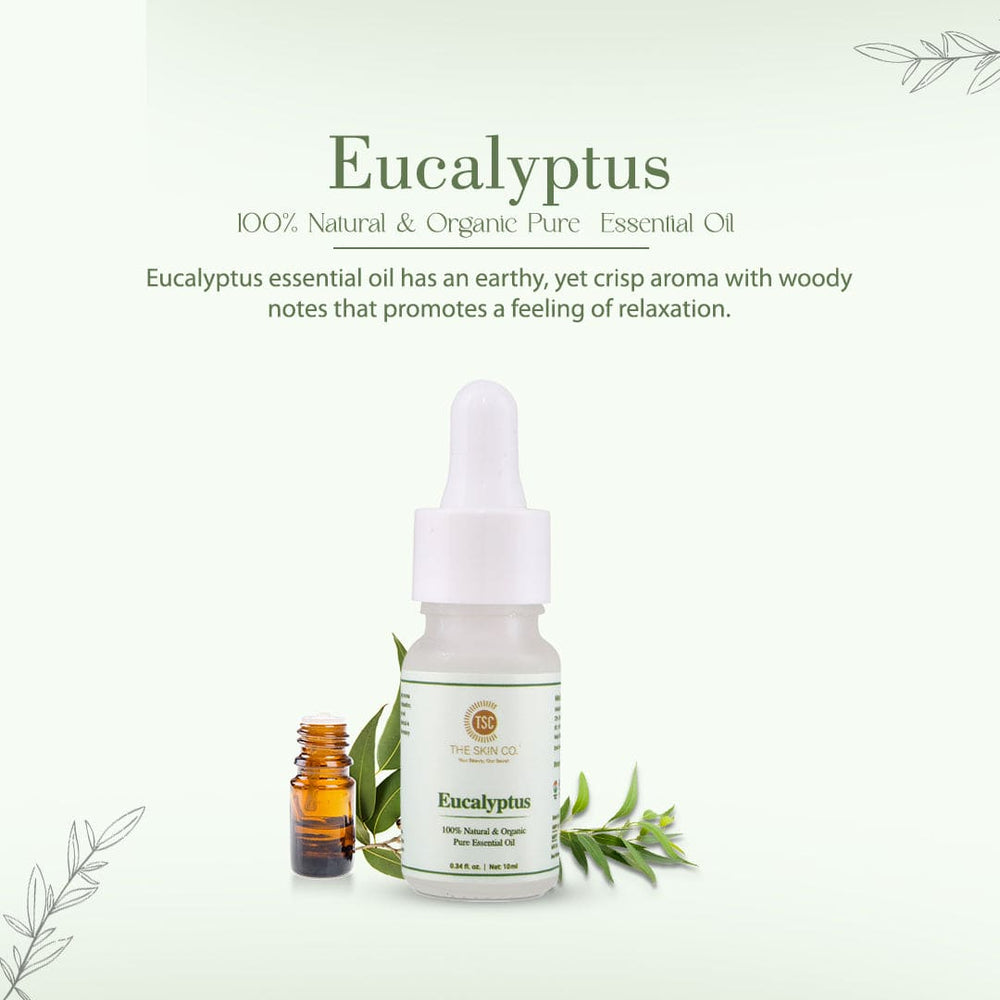 Buy Eucalyptus essential Oil